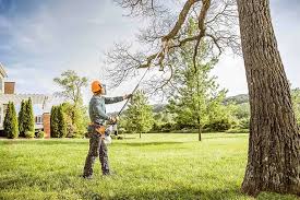 Best Landscape Design and Installation  in Hermiston, OR