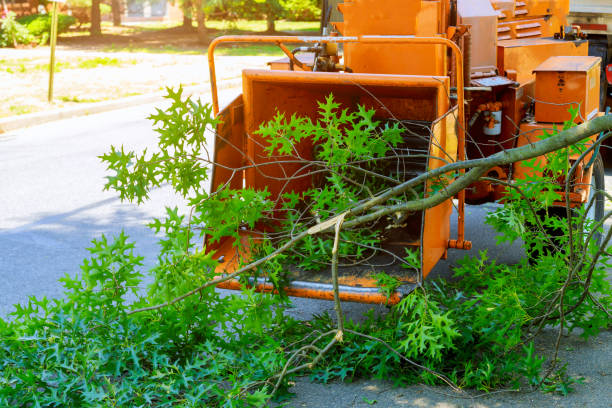 Best Sod Installation  in Hermiston, OR