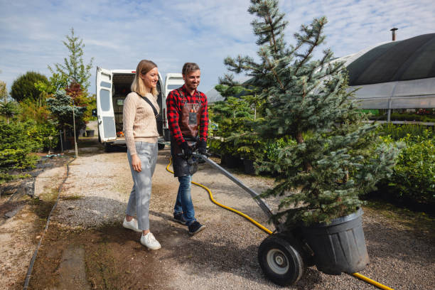 Best Firewood Processing and Delivery  in Hermiston, OR